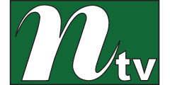 NTV Channel Logo