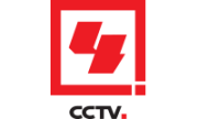 CCTV4 Channel Logo